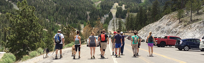 Residents hiking away Family Medicine Residency (FMR) residents hiking down a road